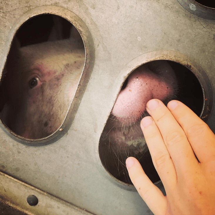 13489-22500708_10155829764481214_1539097809_n